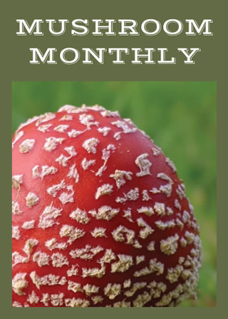 Monthly Mushroom